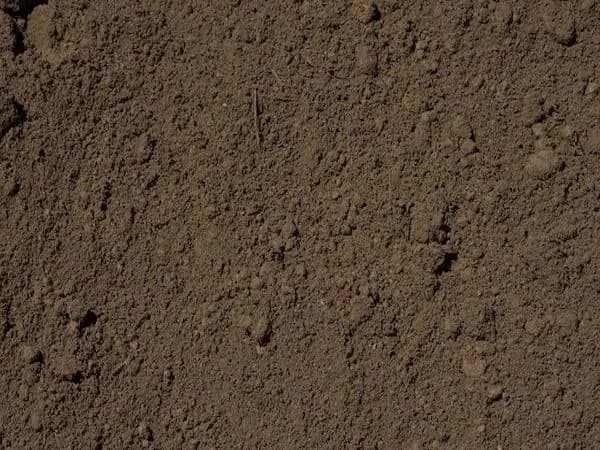 Brown fill dirt with a tight, crumbly texture.